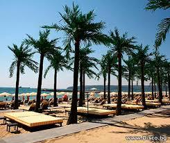 Rappongi Beach
